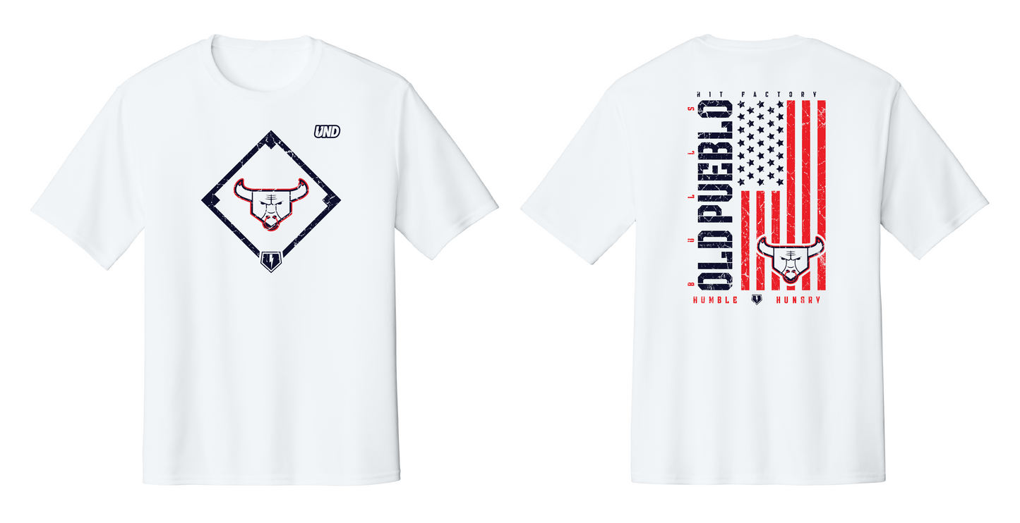 Old Pueblo Diamond Tee